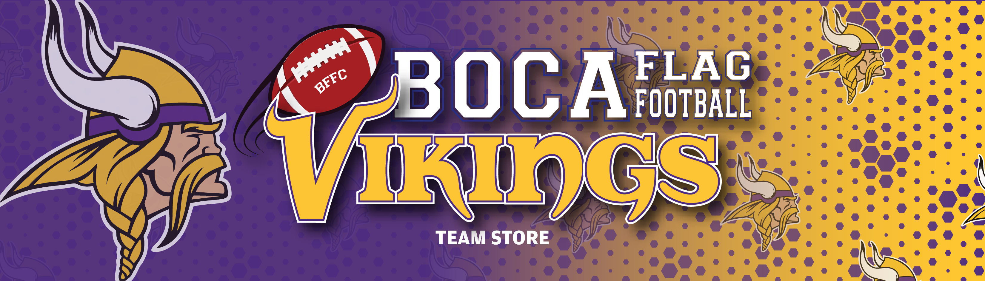 BFFC Fall 2025 Vikings
