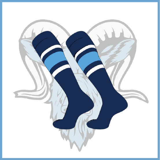 Billy Goats 2037 Navy Striped Custom Socks