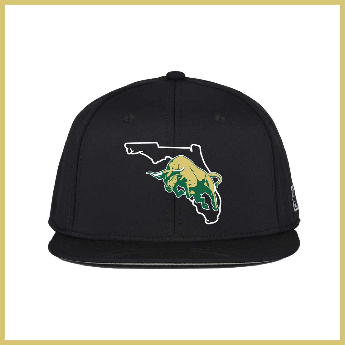 SF Bulls Florida Logo Black Fitted Hat